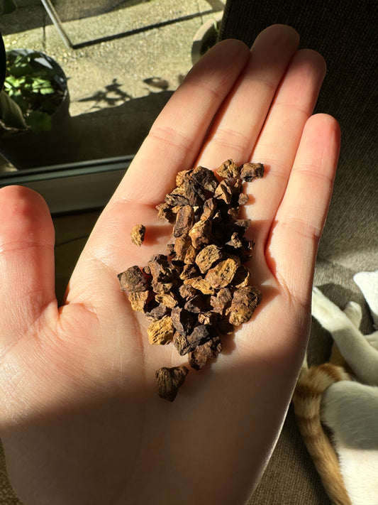 Ready Brewed Cold Chicory Drink - Bold Coffee Alternative